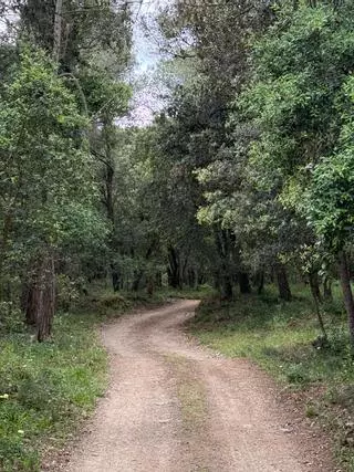Palafrugell arranja els camins de terra afectats pel temporal Harry