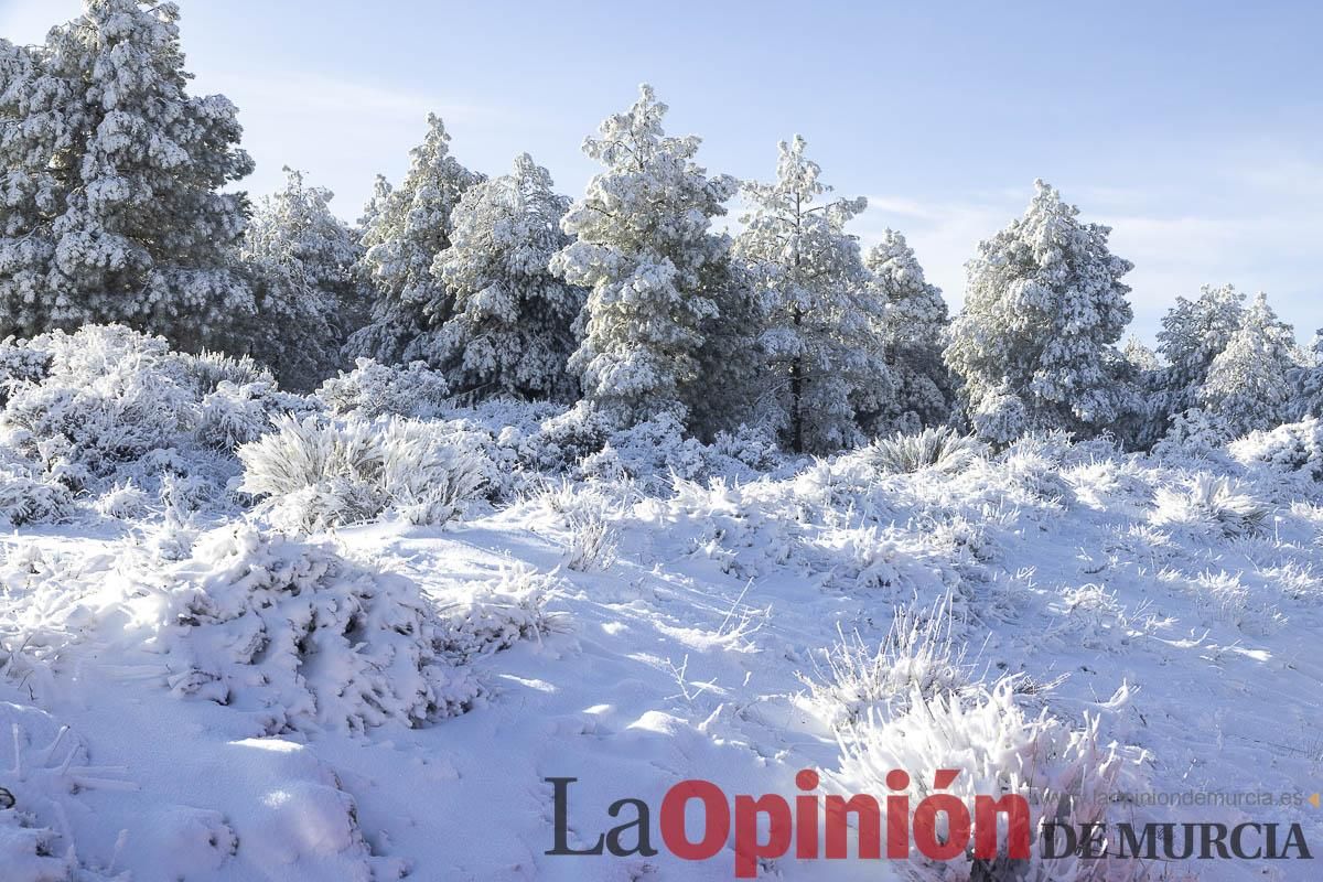 Descubre dónde queda acumulación de nieve en la Región de Murcia