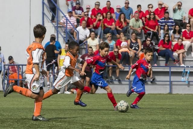 Copa de Campeones Prebenjamines