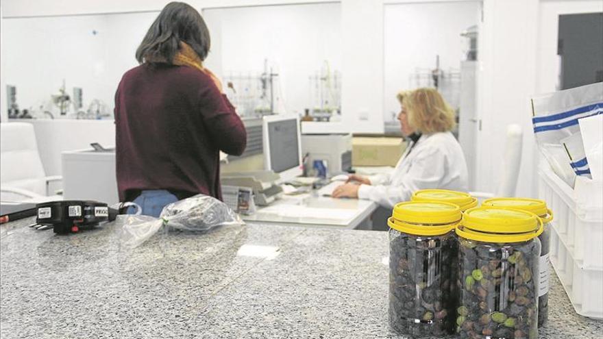 Laboliva se convierte en el laboratorio de referencia de la aceituna comarcal