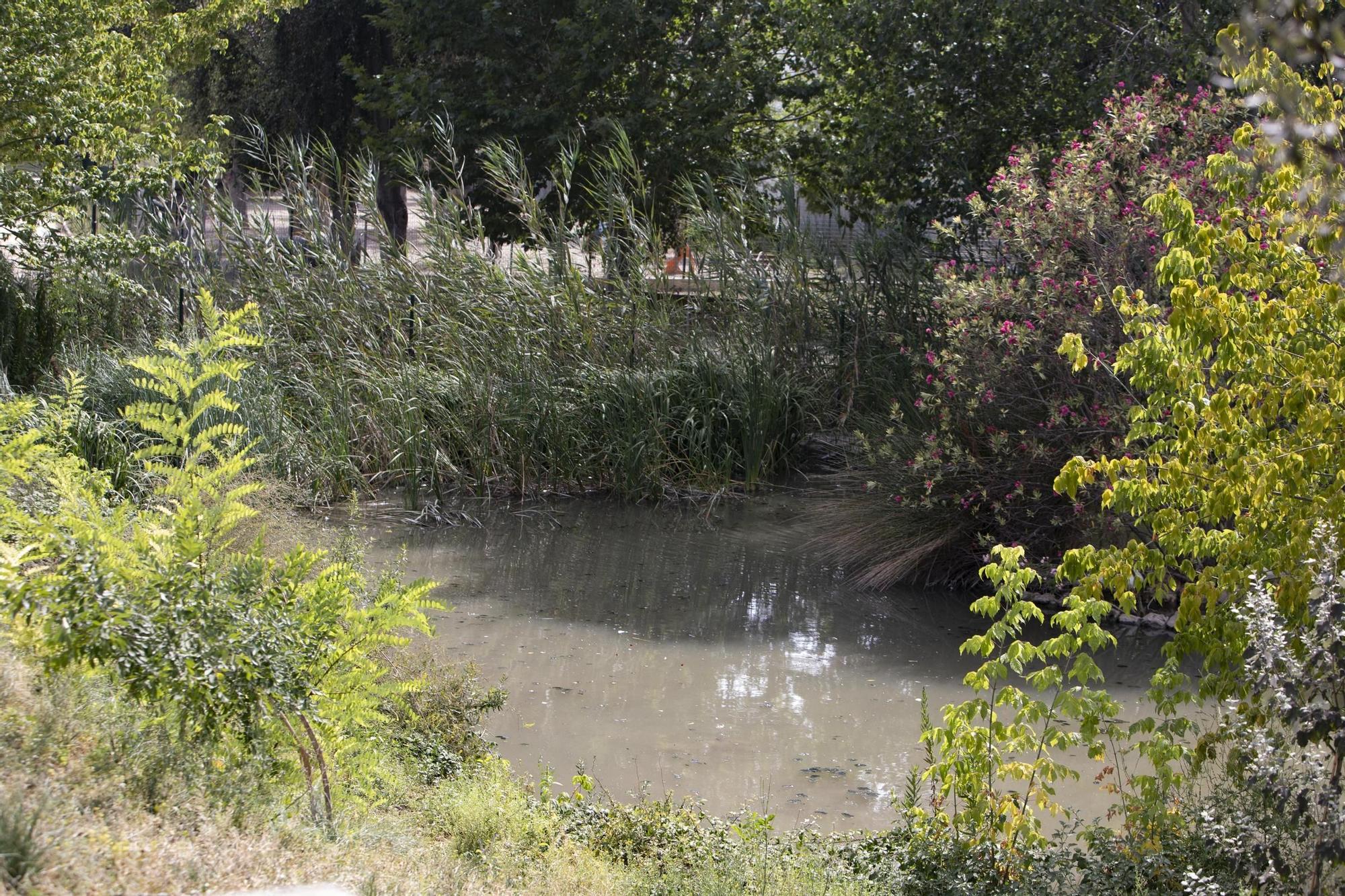 Seis años de la misma problemática en el el Gorg de l’Omet