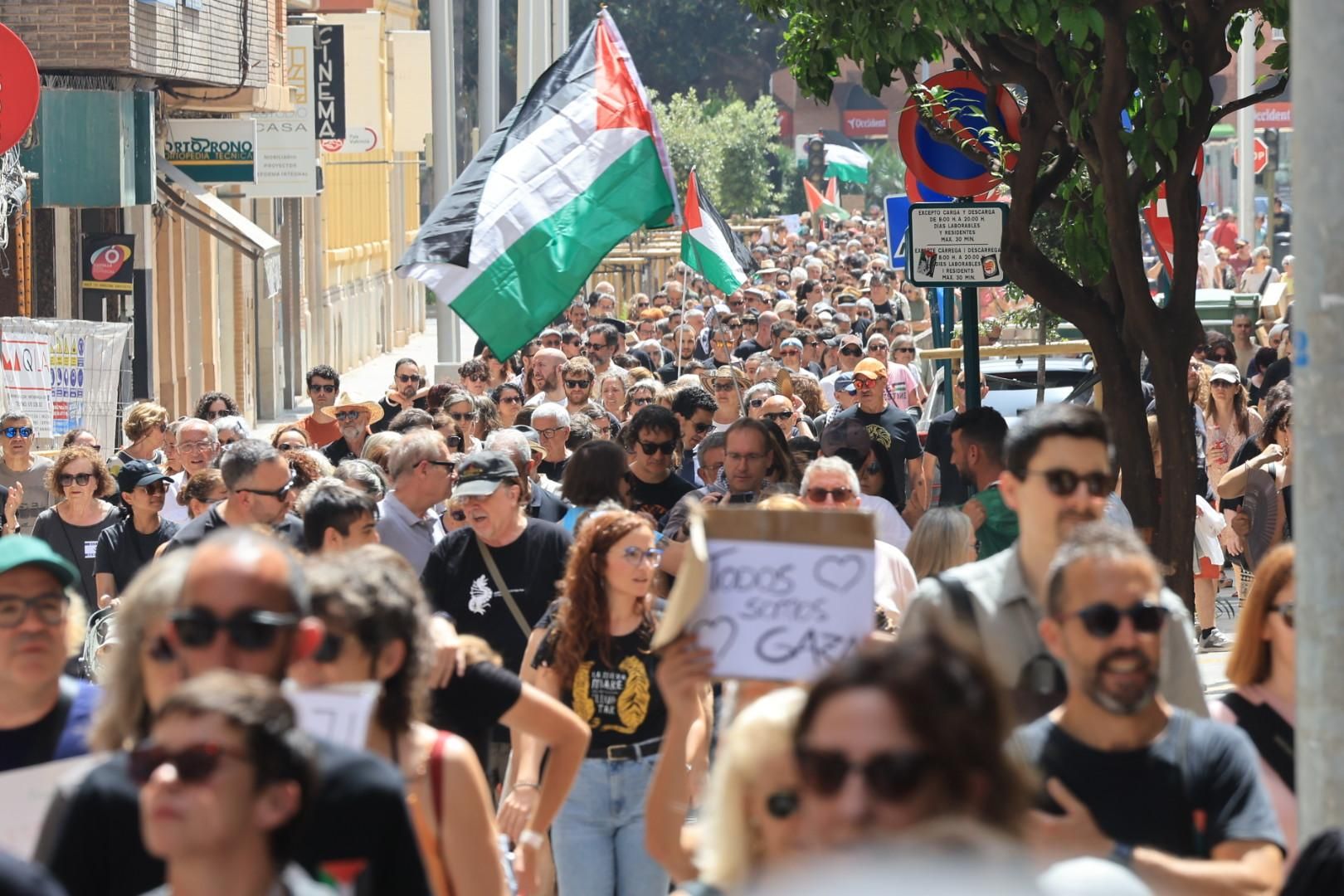 Manifestación a favor del pueblo palestino y la paz en Castellón