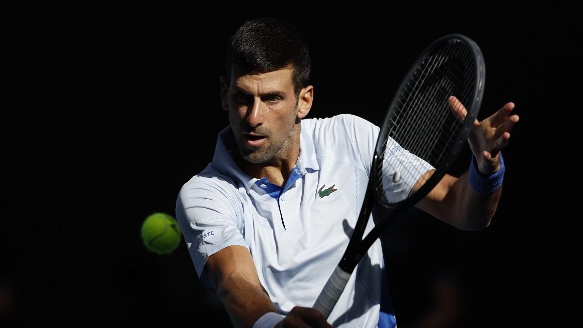 Novak Djokovic, durante el partido ante Sinner