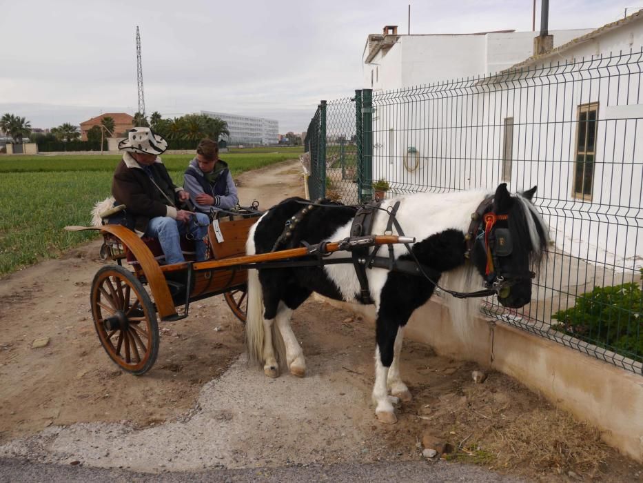 Fiesta de Sant Antoni Abad de Vera