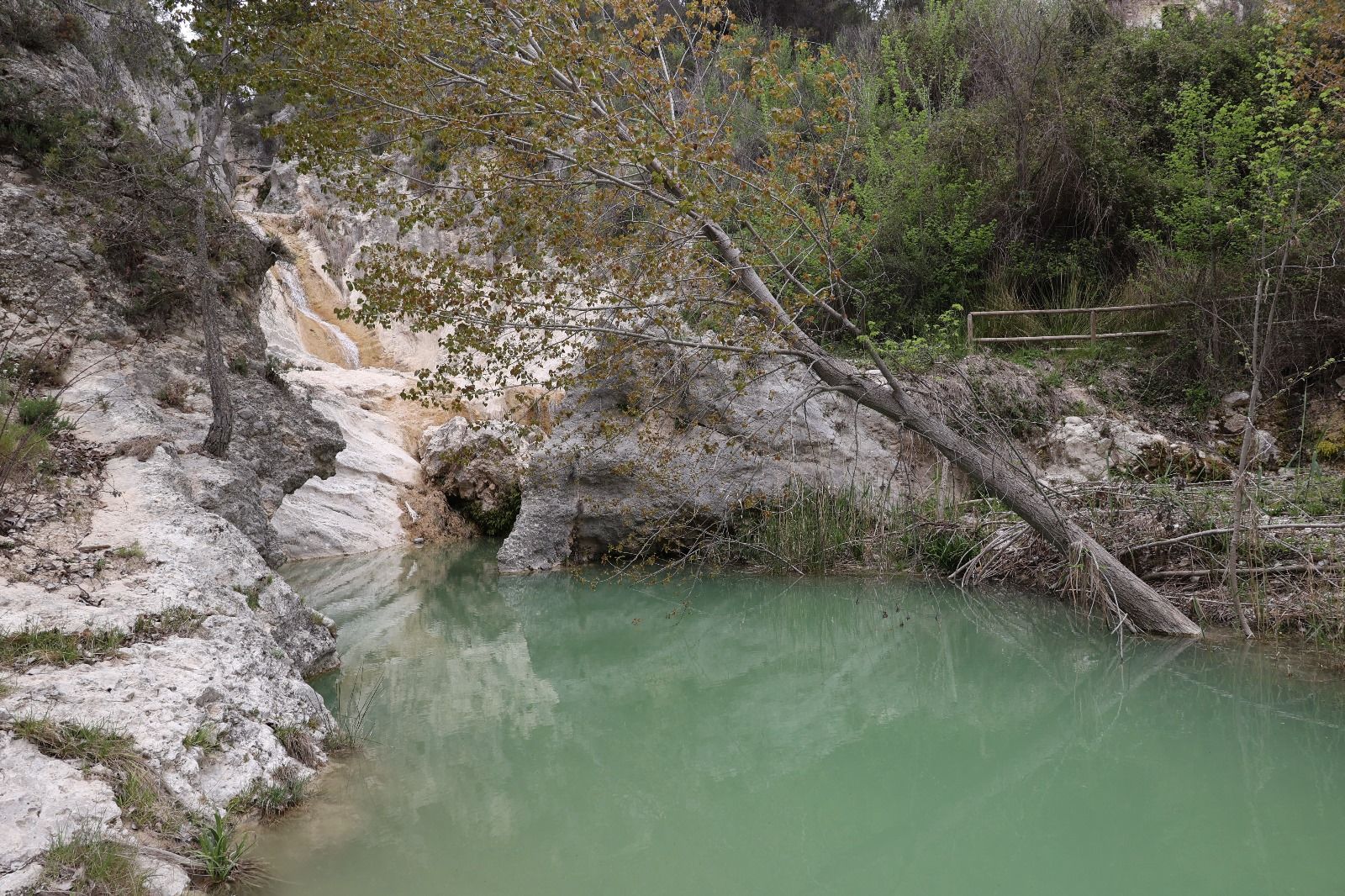Los daños en el Racó de Sant Bonaventura de Alcoy