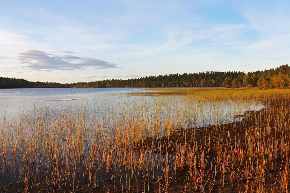 Lago Inari, en el final del verano