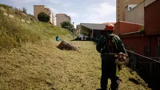 Presidentes vecinales de Plasencia piden una reunión con el edil de Medio Ambiente