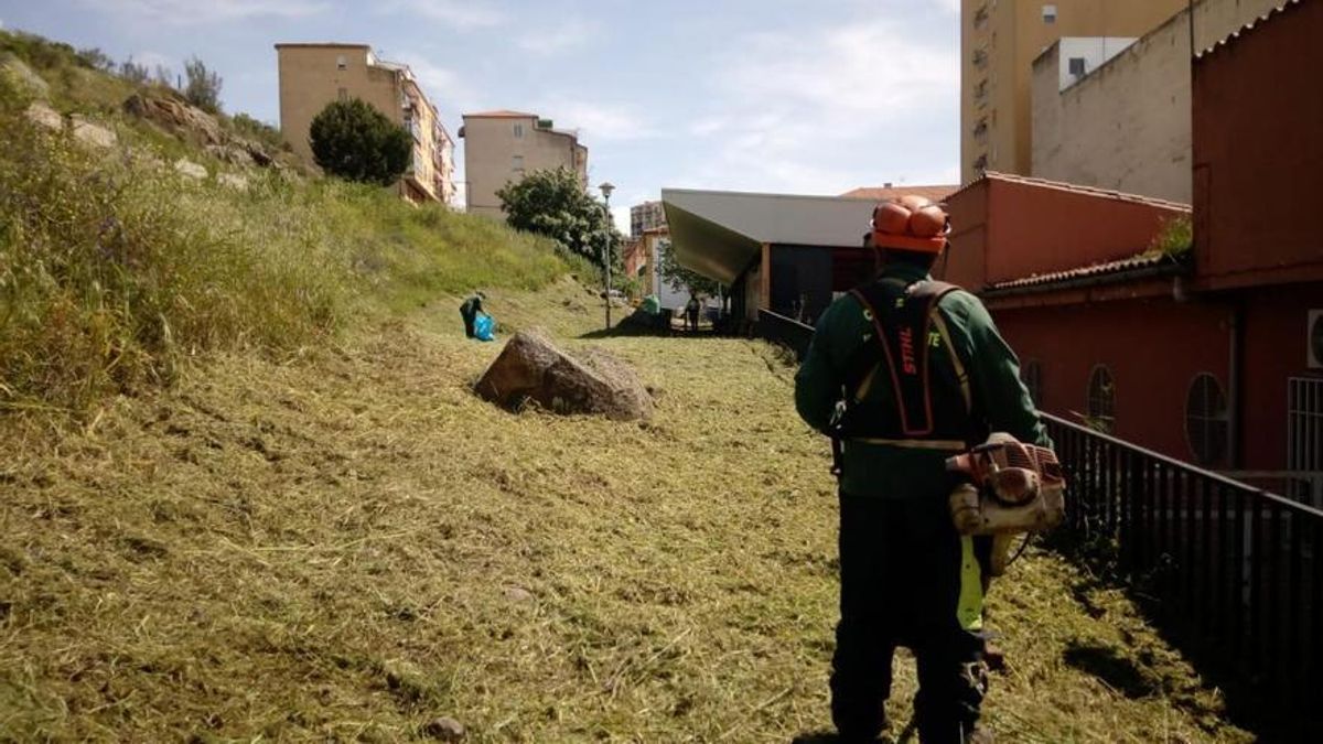 Presidentes vecinales de Plasencia piden una reunión con el edil de Medio Ambiente por el desbroce.