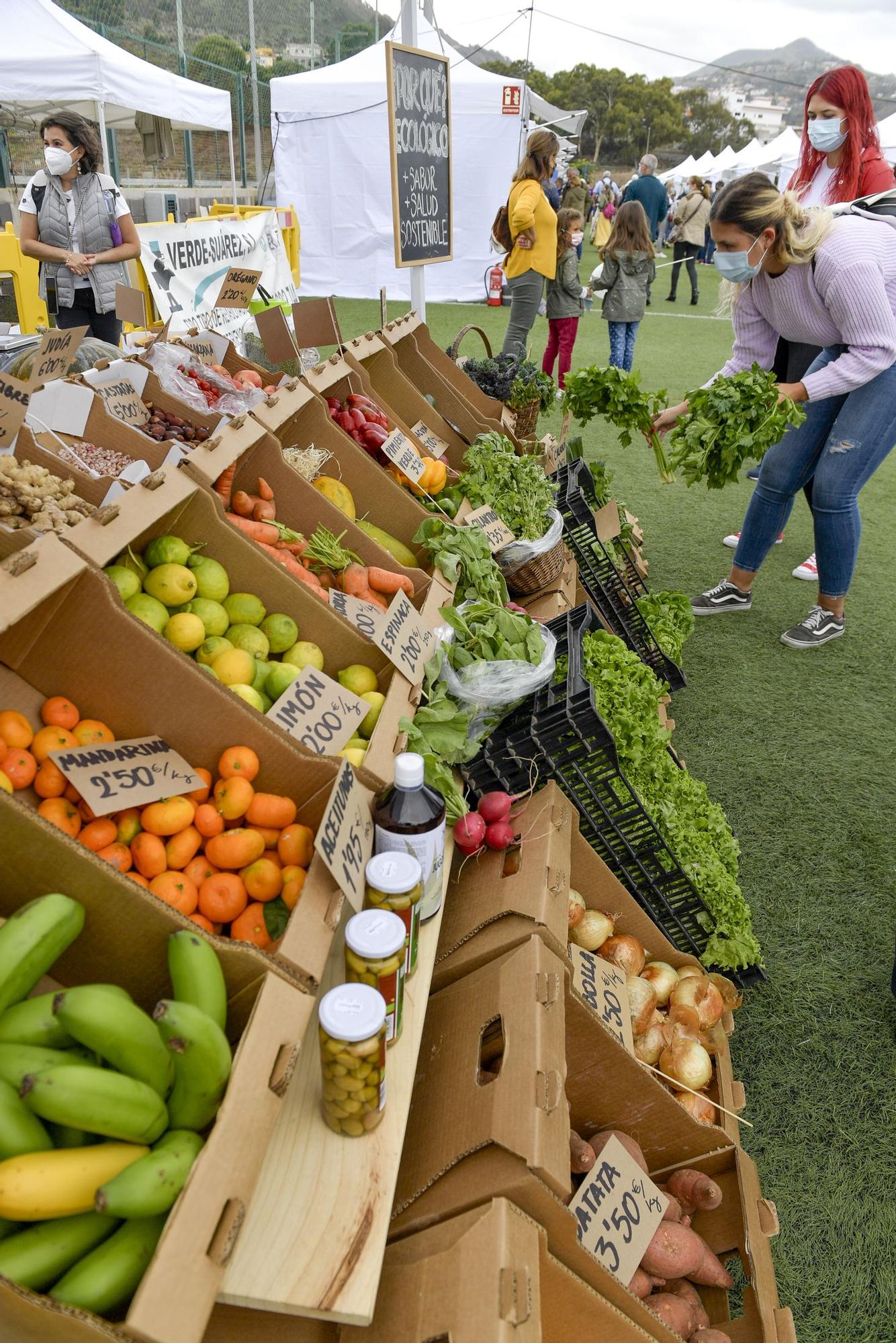 Segunda jornada de la feria Enorte