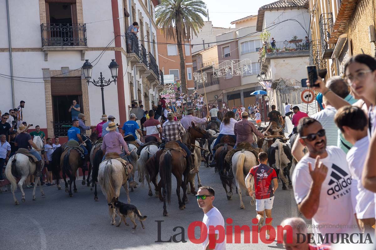 Octavo encierro en las Fiestas de Moratalla