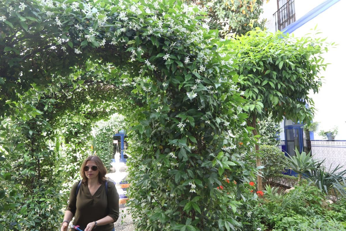 Paseando por los patios de la Judería