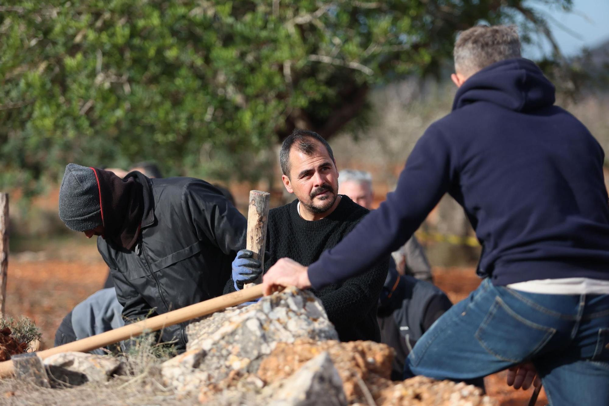 Galería: Reparación de la pared de piedra seca Joan d'en Micolau