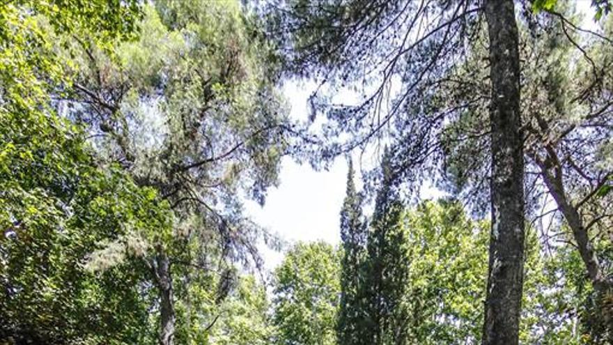 Calor en Córdoba, el infierno en la Tierra