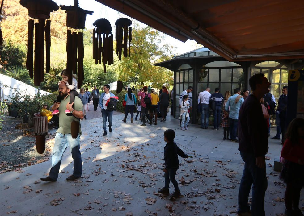 Afluencia masiva de público al botánico con motivo del mercado navideño que ofrecía, además, la posibilidad de visitar de forma gratuita, los jardines