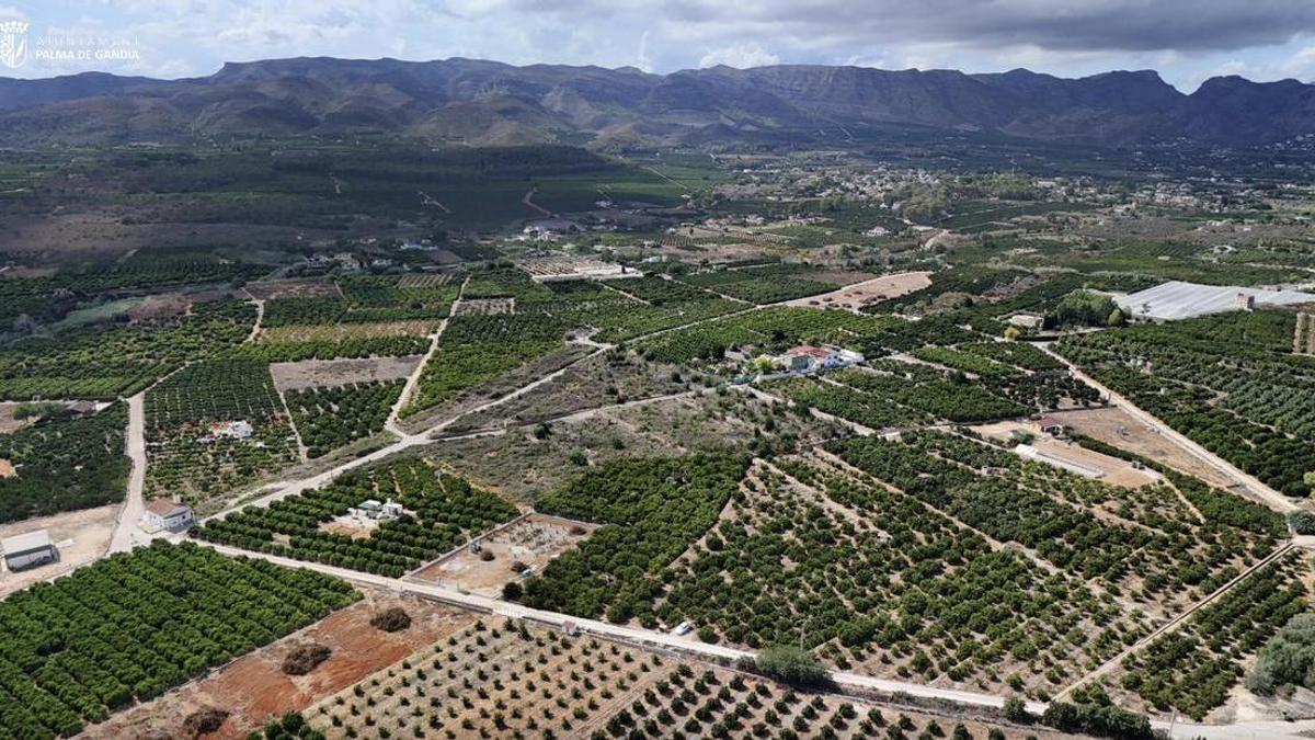 Vista de la partida de Marxuquera en Palma de Gandia.