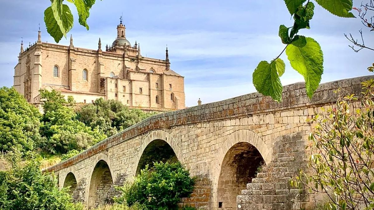 Catedral y puente romano de la ciudad