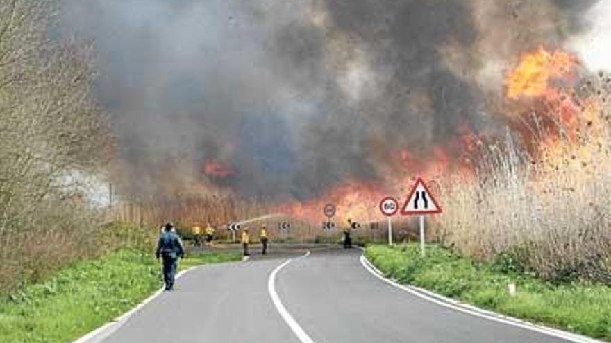Un incendio calcina 15 hectáreas y se adentra en el parque de s´Albufera