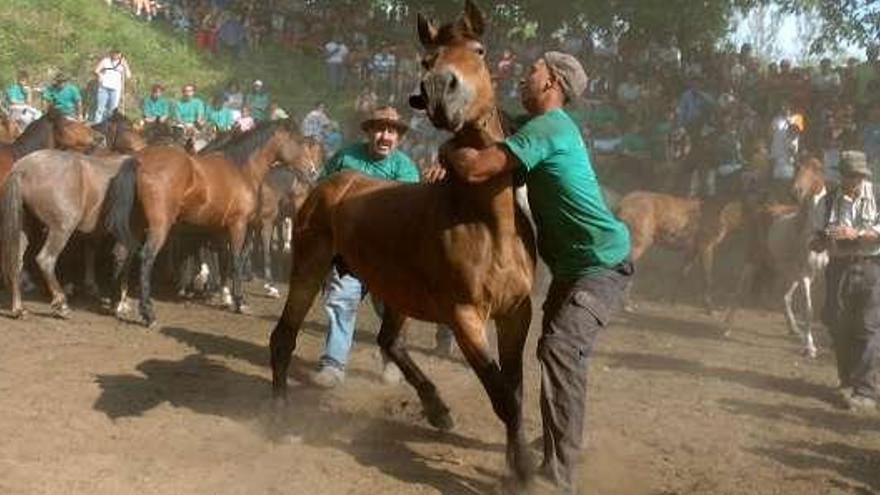 Un aloitador intenta derribar una de las monturas. // G. Santos