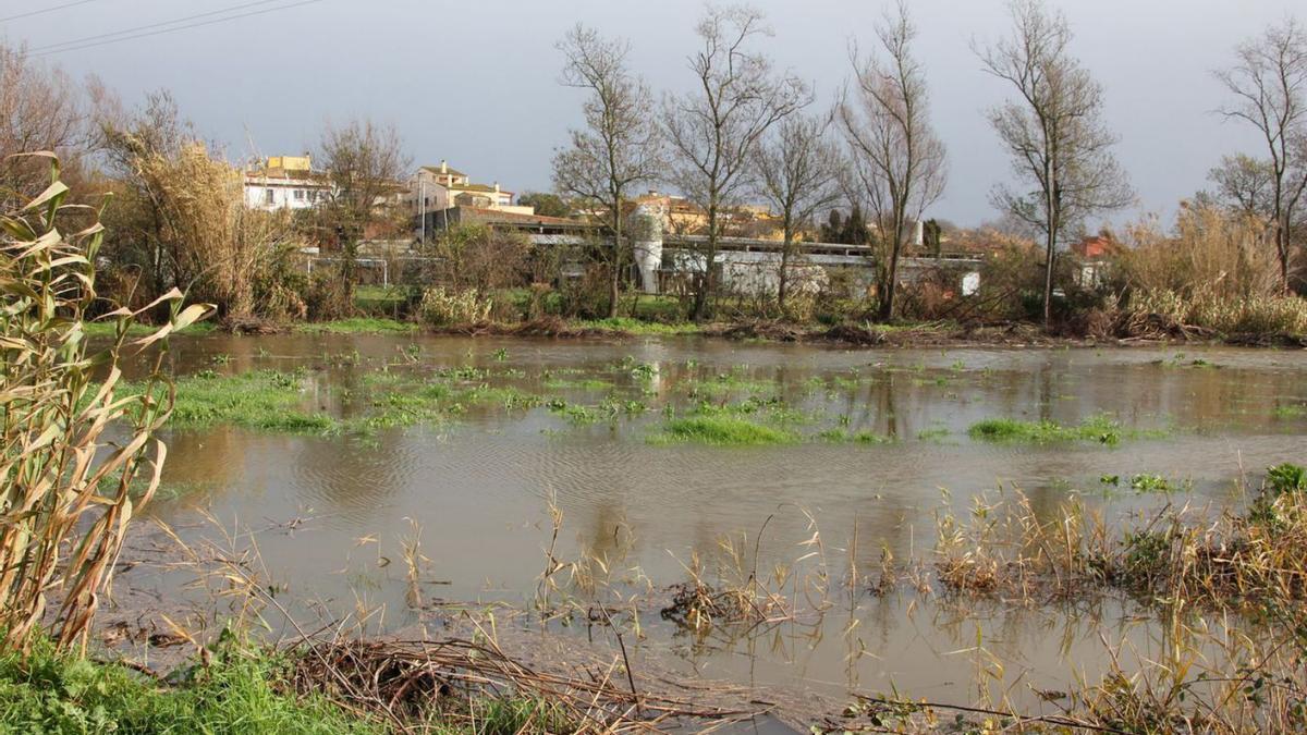 Estany de l’Oliva, el gener del 2020.