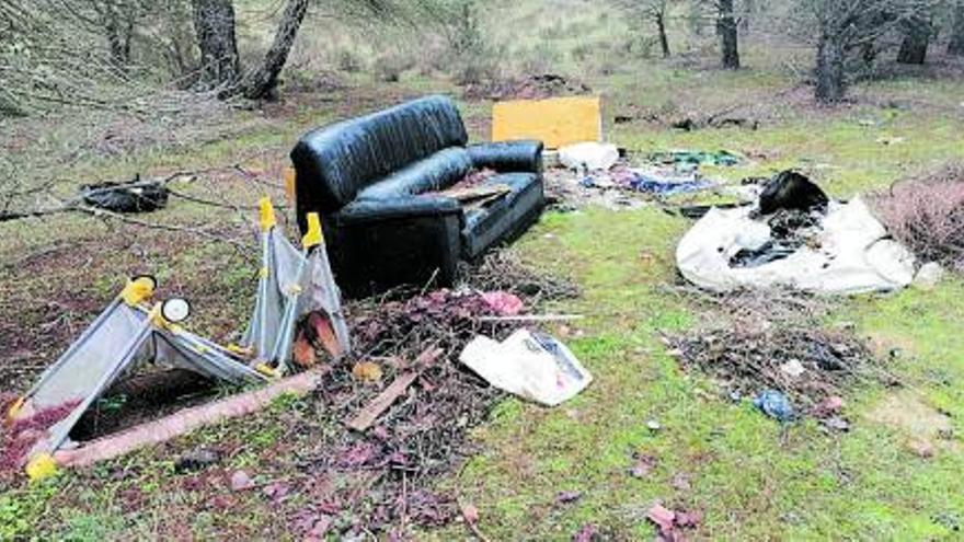 Muebles viejos y otros residuos depositados en una zona de pinares próxima a Adalia. | M. J. C.