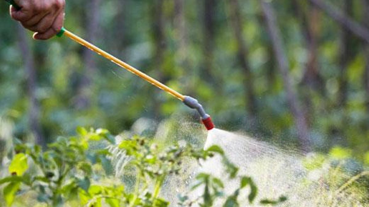 Tractament per eliminar les males herbes