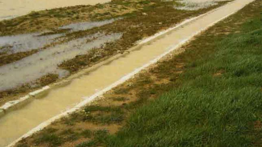 En la izquierda, la canaleta desbordada provoca la inundación del terreno. A la derecha, Justino en la ladera del paso elevado, cubierto de cardos de gran altura.