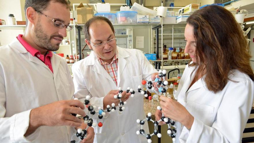 El equipo de investigadores del grupo de Química Orgánica Sintética de la UMU