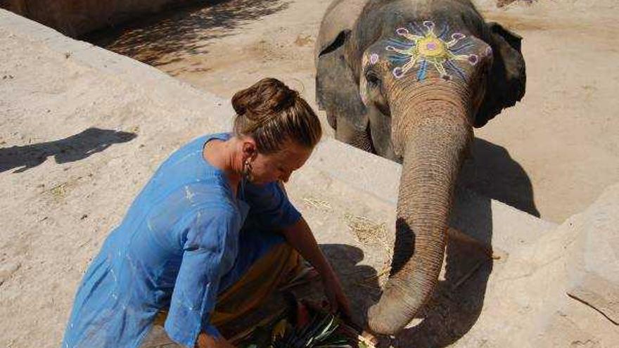 Terra Natura celebra el 42 cumpleaños de la elefanta Petita con una fiesta hindú