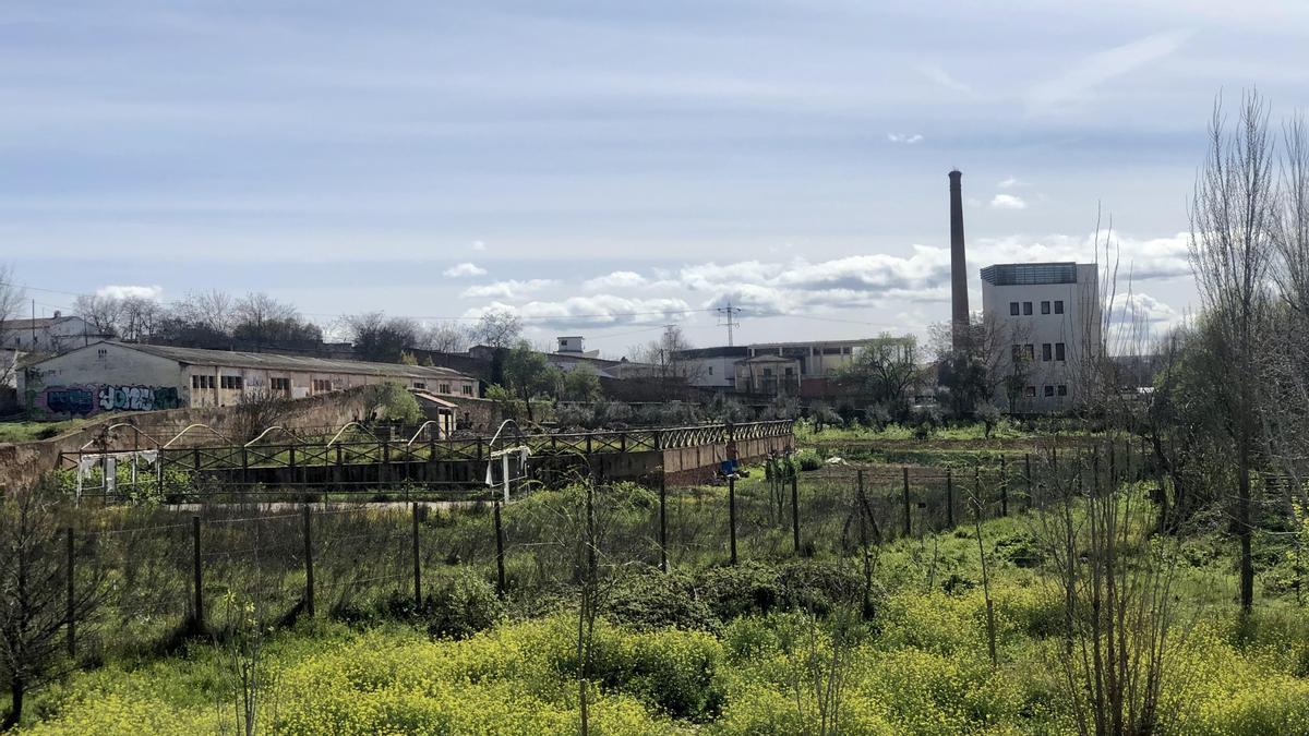 Huertas en las inmediaciones del Molino de Aceite.