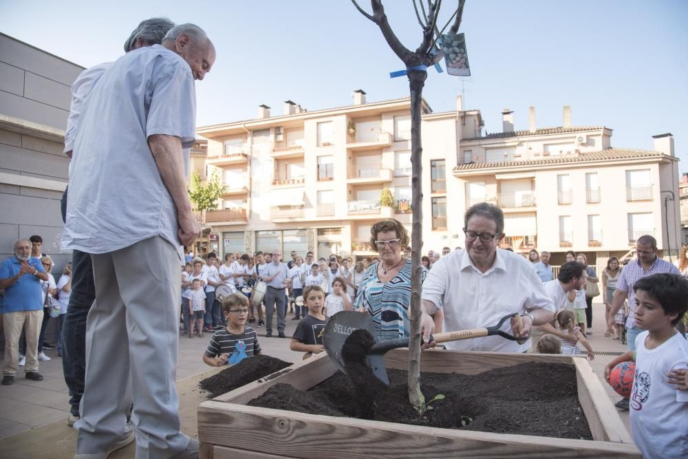 Festa de l'arbre Fruiter a Moià