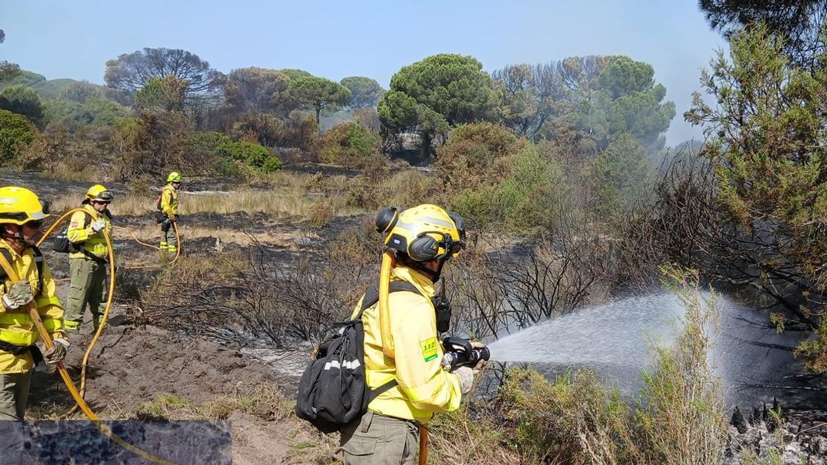 INCENDIO FORESTAL EN ANDALUCÍA | El fuego vuelve a Doñana nueve años después del gran incendio: «Ha ardido parte del corazón del Parque Nacional»