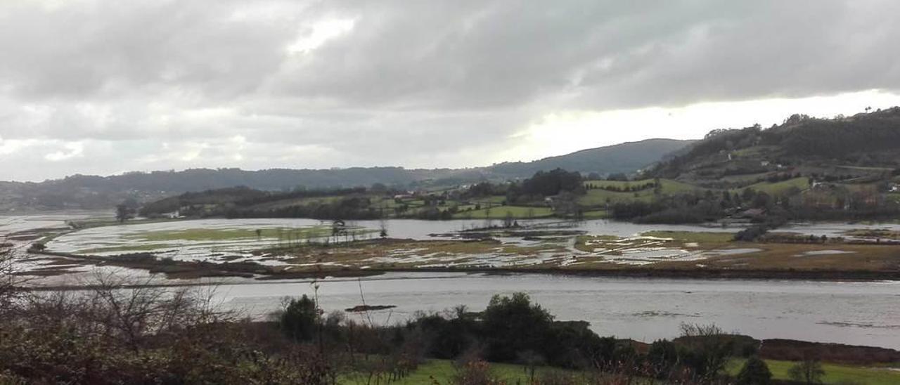 El porréu de La Marquesa o de Cavanilles, ayer, inundado.