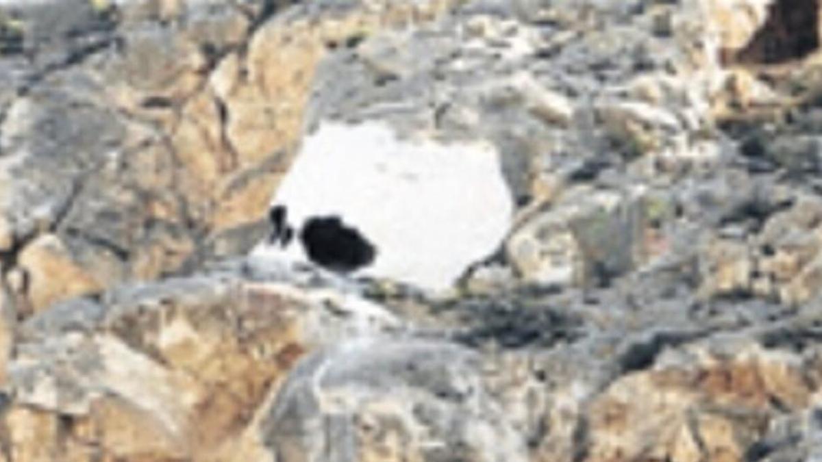 La calavera de la Serra Grossa forma parte de la memoria popular de muchos alicantinos.