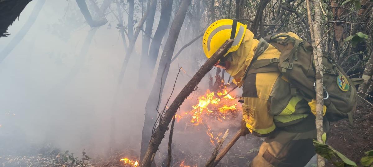 Archivo - Bomberos de la BRIF de Puntagorda trabajan para sofocar las reactivaciones del incendio de Tenerife