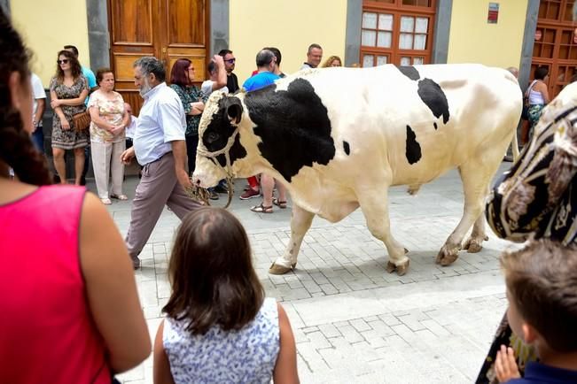 Fiestas de San ROQUE en Firgas