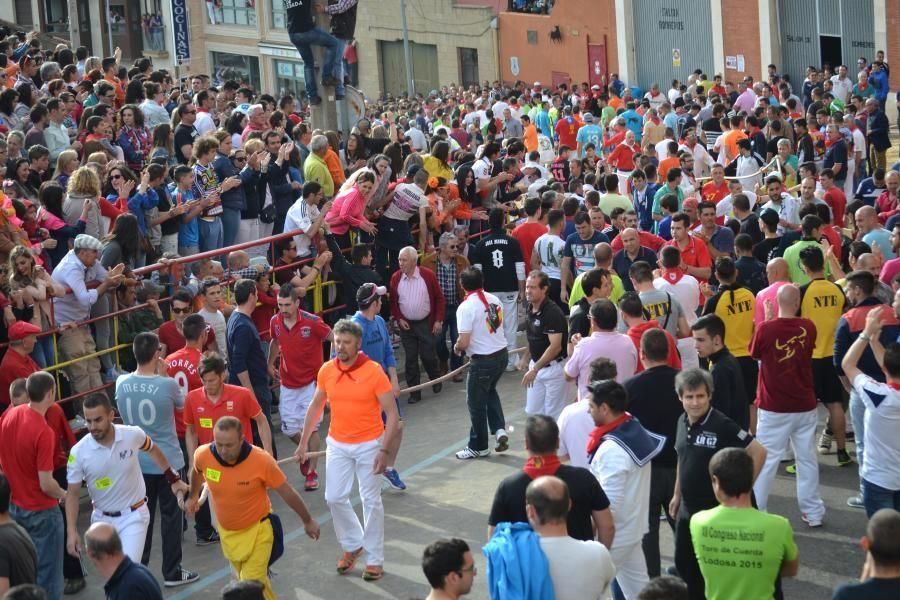 Enmaromado 2016: Así fue el Día Grande en Benavent