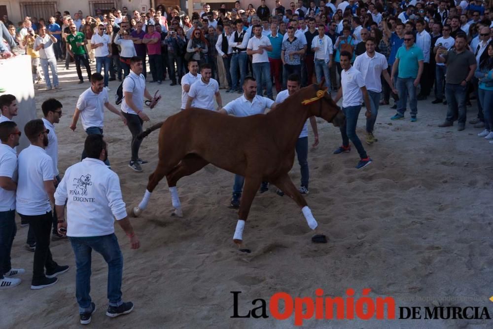 Día uno de mayo, entrada de caballos al Hoyo