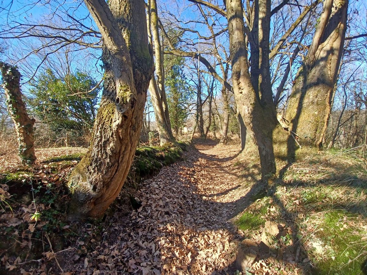 El camino hacia la ermita.