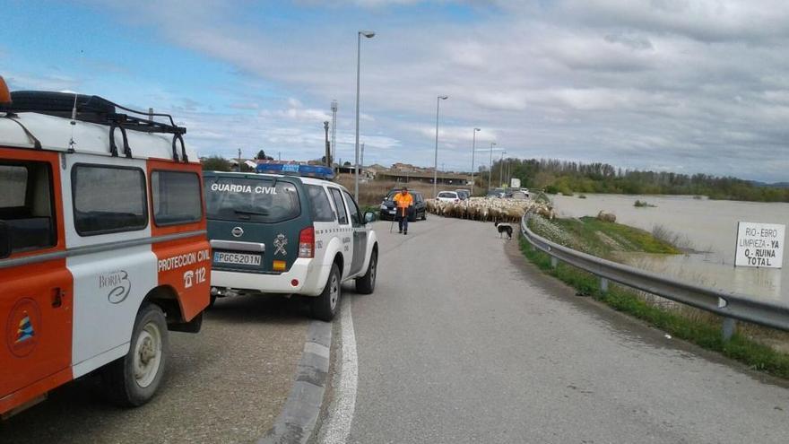 Los bomberos buscan a un pastor desaparecido en Codos