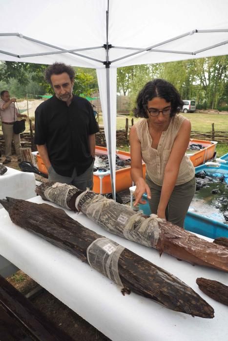 Presentaci   dels resultats de les excavacions arqueologiques del jacimient neol  tic de La Draga de Banyoles.