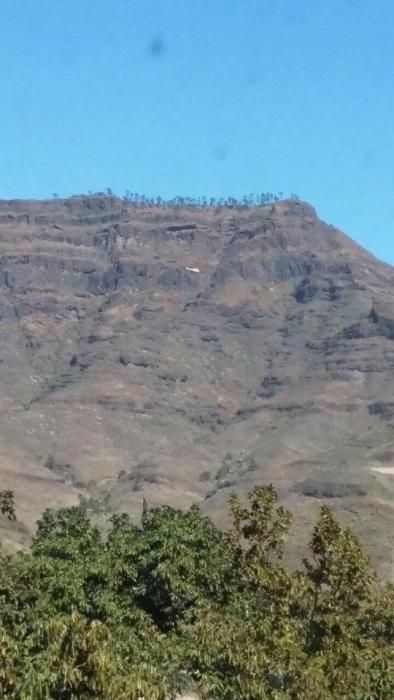 Controlado un incendio en un barranco de Mogán