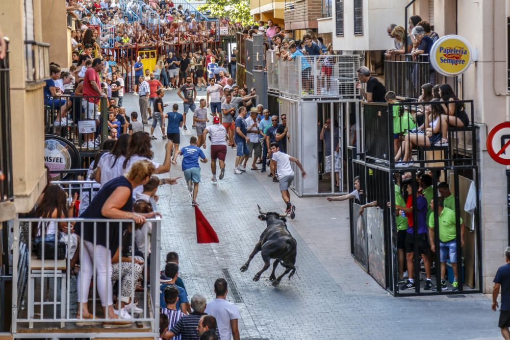 Fiestas de la Vaca de Castalla.