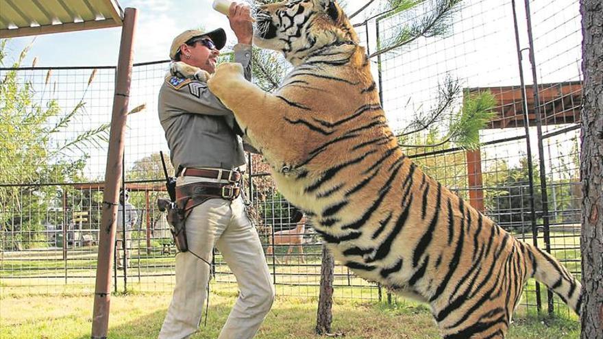 Joe Exotic, los tigres y otras fieras que arrasan en Netflix