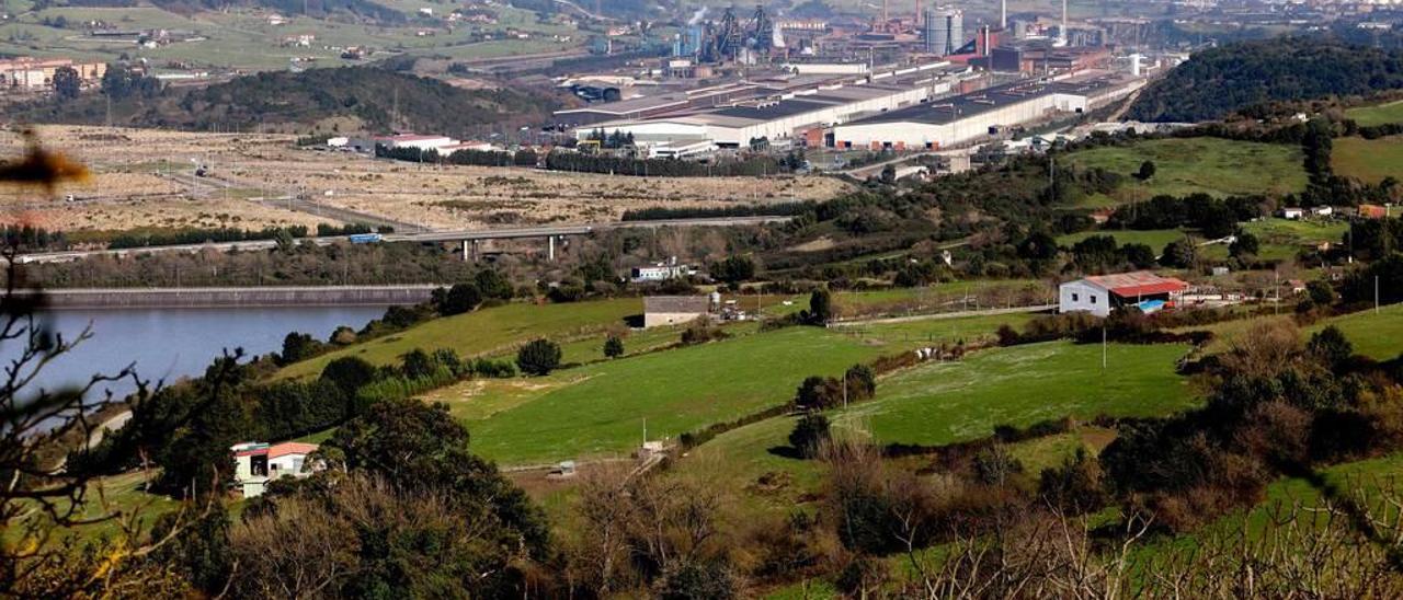 Una vista de la Zalia y su entorno.