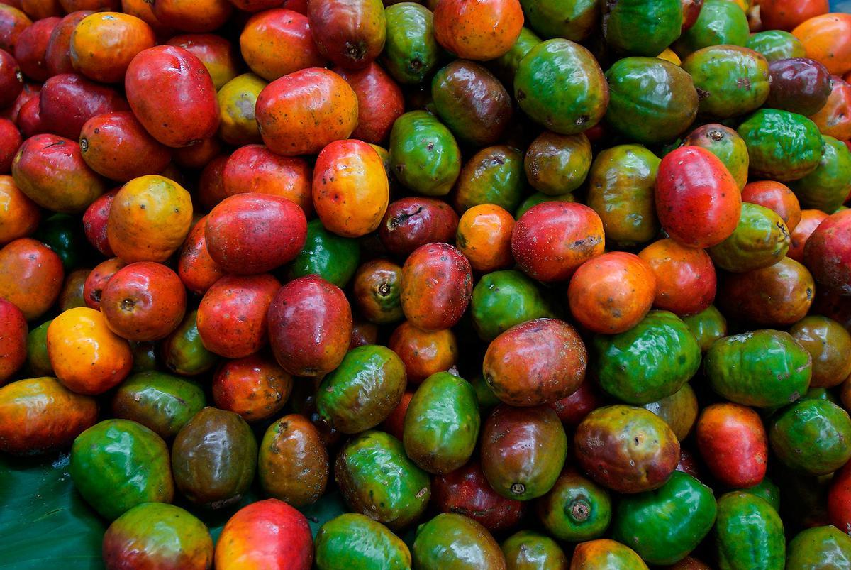 Se trata de una fruta originaria de América del Sur. Su forma es ovalada y su color depende de la variedad.