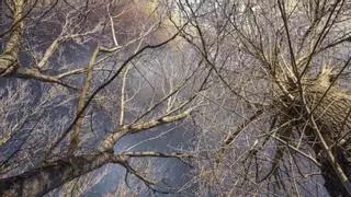 El Alto Palancia impulsa un plan contra el cambio climático para mejorar el bienestar y el arraigo de la población