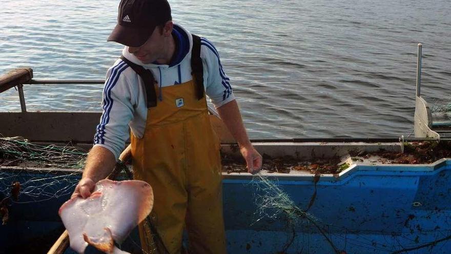 Un pescador sostiene un ejemplar de raya durante una jornada de trabajo. // Iñaki Abella