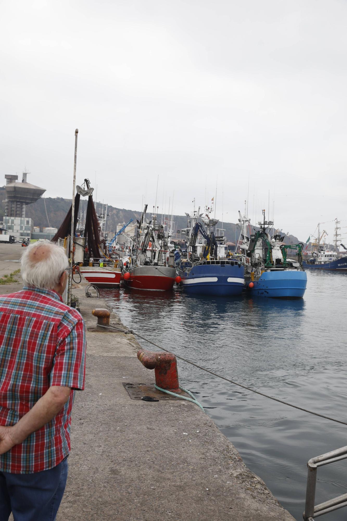 En imágenes: Gran descarga de bocarte en el puerto de Gijón