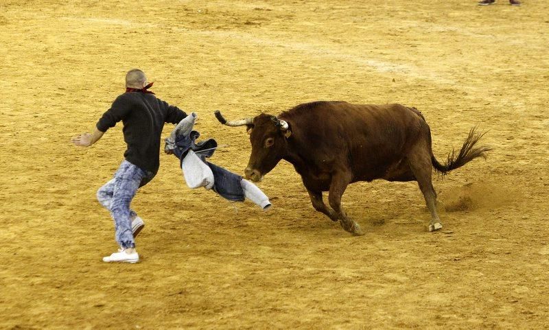 Vaquillas del 9 de octubre