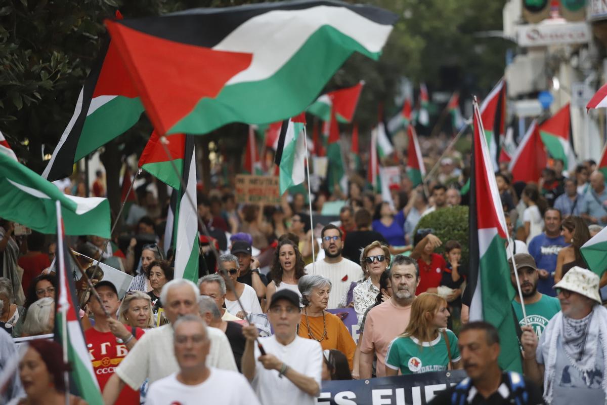 La manifestación por Palestina, en imágenes